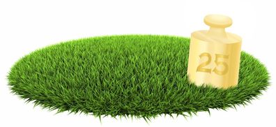 Premium Rasensand 0,5-1,6 mm 25kg gewaschener Quarzsand Gartensand Besandung