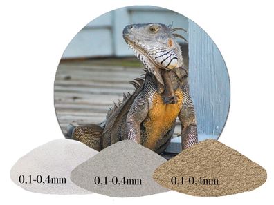 Terrariensand 0,1-0,4 mm natur - für Bartagame & Kröten