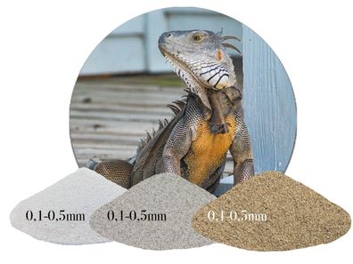 Terrariumsand 0,1-0,5 mm natur - feiner Bodensand für Vogelspinne & Gecko