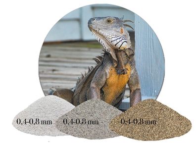 Terrariumsand 0,4-0,8 mm naturfarben - für Chamäleon & Kornnatter
