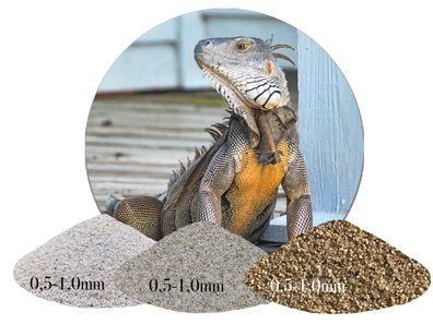Terrariumsand 0,5-1,0 mm naturfarben - strukturierter Bodengrund für Bartagame & Korn