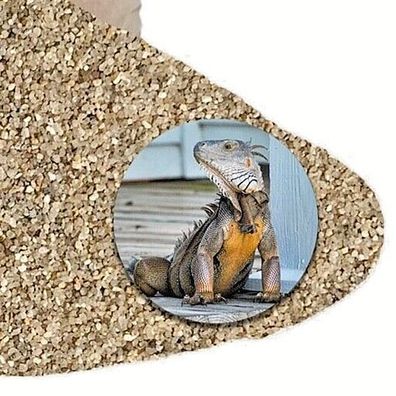 Terrariumsand Naturbeige 14 kg 0,4-0,8 mm