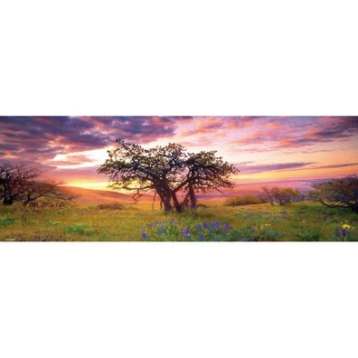 Puzzle 2000 pz Panorama - Oak Tree, AvH