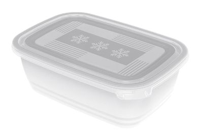 ROTHO Gefrierdose Freeze 1,9l 2er Pack 104939 (EKB)