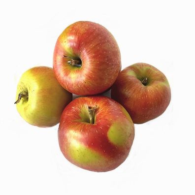 Äpfel Santana Allergikerapfel aus Deutschland/Bodensee saftig süß-säuerlicher1-10 KG