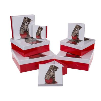 OOTB Rot/weiße Geschenkkartonage Katze
