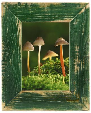Mein Landhaus Bilderrahmen Grün aus recyceltem Altholz – Vintage Holzrahmen