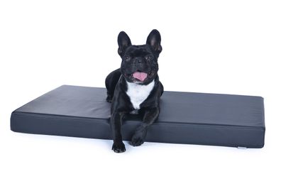 Orthopädische Hundematte "Mat" Kunstleder, schwarz Hundeliege