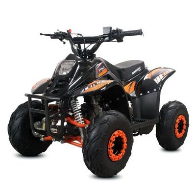 Quad ATV Kinderquad Miniquad 110cc Buffalo 1G6 Pocketbike Pocketquad