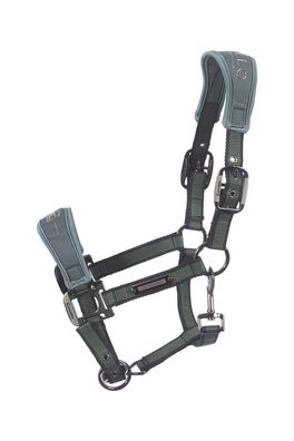 Cavallo Halfter Softshell