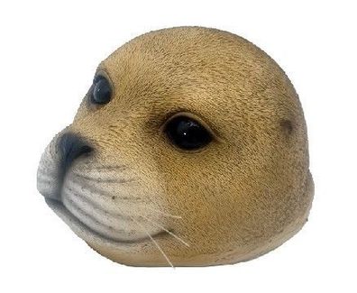 Seehund Kopf schwimmend beige