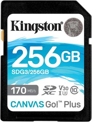 Kingston SDG3/256GB SD Speicherkarte (256GB SDXC Canvas Go Plus 170R C10 UHS-I U3 V30