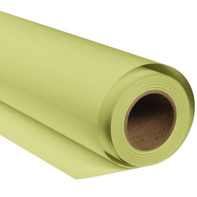 Bresser - F004173 - SBP19 Papierhintergrundrolle 1,36 x 11m Tropisch Grün