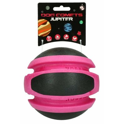 Dog Comets Jupiter Rosa