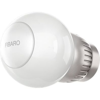 Fibaro FGT-001 ZW5 EU