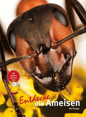Entdecke die Ameisen | Ralf Klinger | Buch | Entdecke - Die Reihe mit der Eule