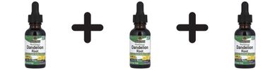 3 x Natures Answer Dandelion Root - 30 ml