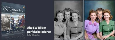 Codijy Colorizer Pro- Fotobearbeitung - Lizenz für 2 PCs -Download Version