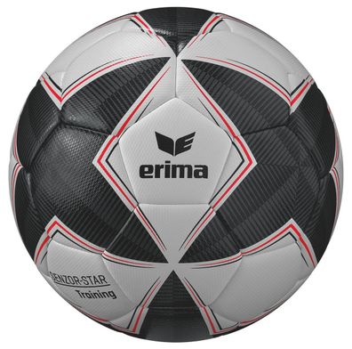 10er Ballpaket Erima Senzor-Star Trainingsball Schwarz-Grau Gr. 5 420 g