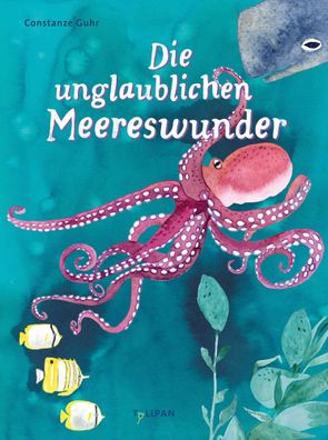 Die unglaublichen Meereswunder | Constanze Guhr | Buch | 40 S. | Deutsch | 2023