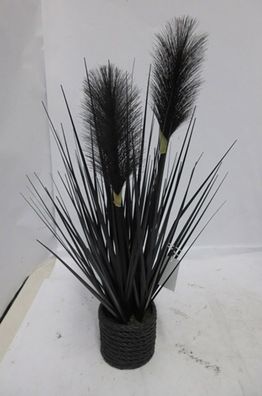 Gilde Pampasgras im Topf H. 40 cm 57339
