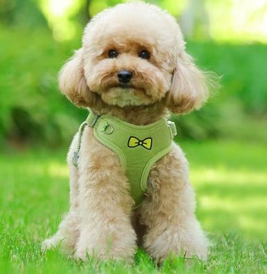 Topmast Weiches Plüsch-Hundegeschirr + Leine - Komfort - olivgrün