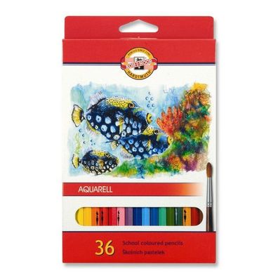 KOH Buntstifte Schule Fisch Aquarell 36er