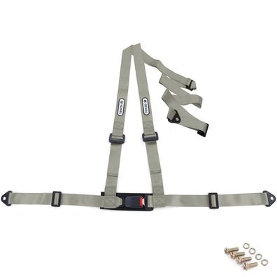 Tenzo-R Sport Hosenträger Gurt Sicherheitsgurt 3 Punkt Grau mit E Zeichen