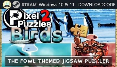 NEU PC Computer Spiel Pixel Puzzles 2 Birds für Windows 10 11 STEAM Download Key