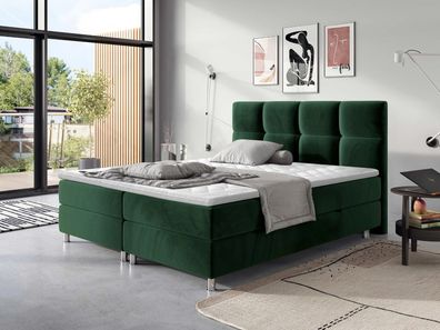Boxspringbett Dave Doppelbett Bettgestell Polsterbett Schlafzimmer Kollektion M24