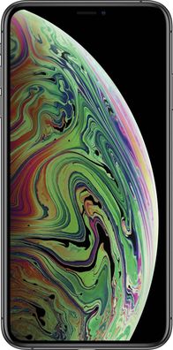 Apple iPhone Xs Max 256GB Space Gray - als Ersatzteillager nutzbare Bastlerware