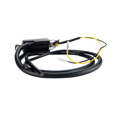 Pillar Type Electronic Ignition Conversion 1 Ohm Dual Lead 6 Volts Ignition Coil Hond