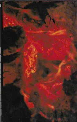 Hans Frick: Breinitzer (1979) Rogner und Bernhard