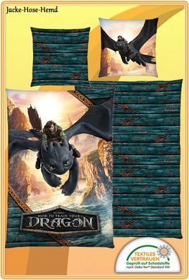 Bettwäsche Dragons Drachen Drachenzähmen leicht gemacht Film Gr. 135x200cm NEU