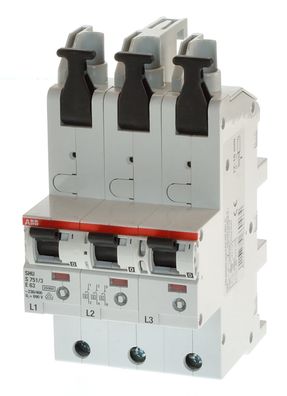 ABB S751/3-E63 Hauptsicherungsautomat 2CDS781001R4632