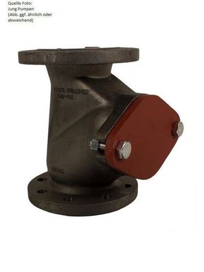 Rückschlagventil 2" (DN50) Jung Pumpen
