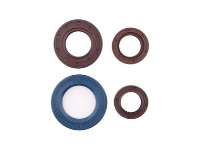 CIF Motorsimmerringsatz Inhalt: 4 Simm