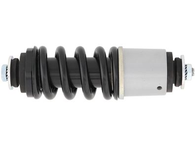 CIF Stoßdämpfer Komplett, Standard, Made in Italy hinten