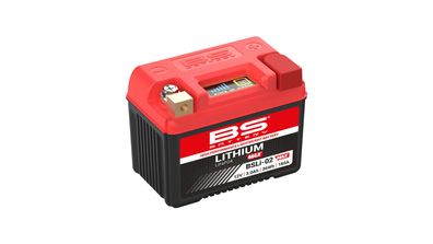 BS-BATTERY LiFePO4 Batterie "BSLI-02" Ersetzt folg Lithium-MAX, w
