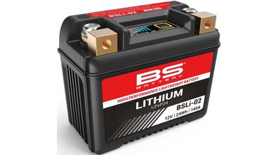 BS-BATTERY LiFePO4 Batterie "BSLI-02" Ersetzt folg wartungsfrei