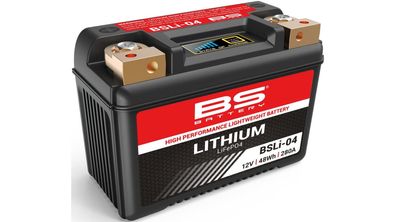BS-BATTERY LiFePO4 Batterie "BSLI-04""BSLI-06" Ers wartungsfrei