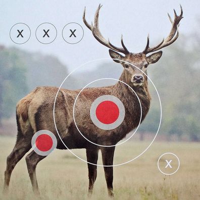 Landmann Zielscheiben 31x31 cm Motiv Hirsch für Luftgewehre und Luftpistolen 25 Stück