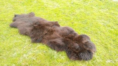 TOP * Öko zwei Schaffelle Schaffell Bettvorleger Teppich Lammfelle Läufer XXLbraun