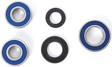 ALL BALLS RACING Radlagersatz Hochgeschwindigkeits 25-1110