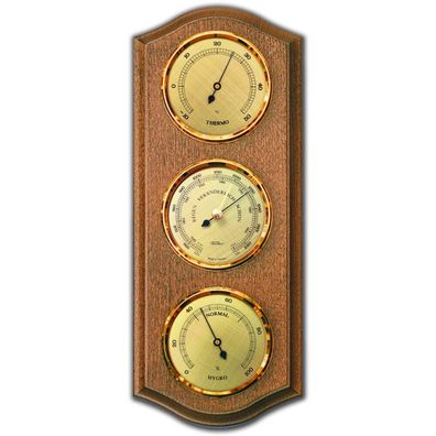 Fischer - 9176-31 - Wetterstation