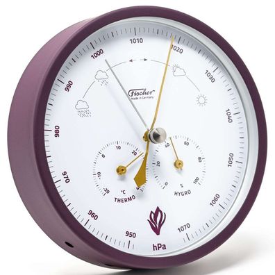 Fischer - 1602-24 - Wetterstation KROKUS 160mm