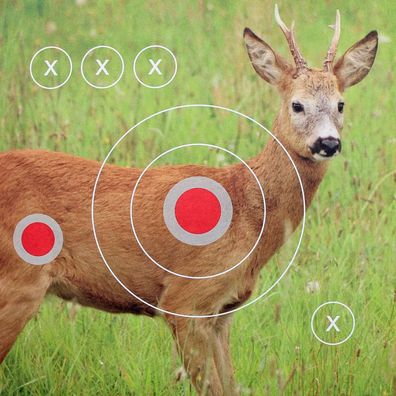 Landmann Zielscheiben 31x31 cm Motiv Reh für Luftgewehre und Luftpistolen 25 Stück