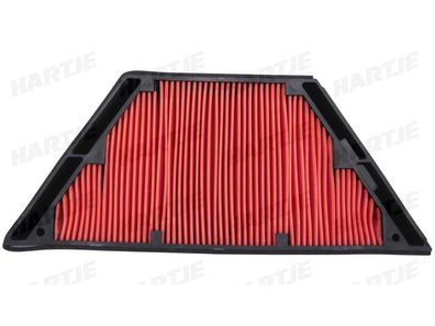 Hiflofiltro Luftfilter HFA-2923