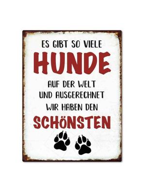 Schönster Hund, Magnet, Blech 8 x 10,6 cm, MN011