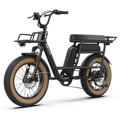 Stadt-E-Bike Elektrofahrräder mit Doppel-Gepäckträger und Rücksitz 20 Zoll 48V 13Ah